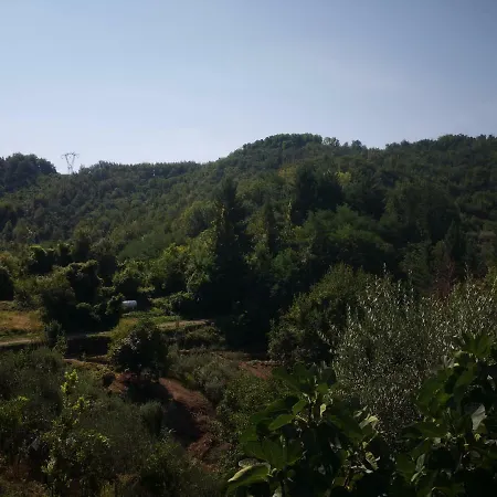 Dal Magnan Mulazzo
